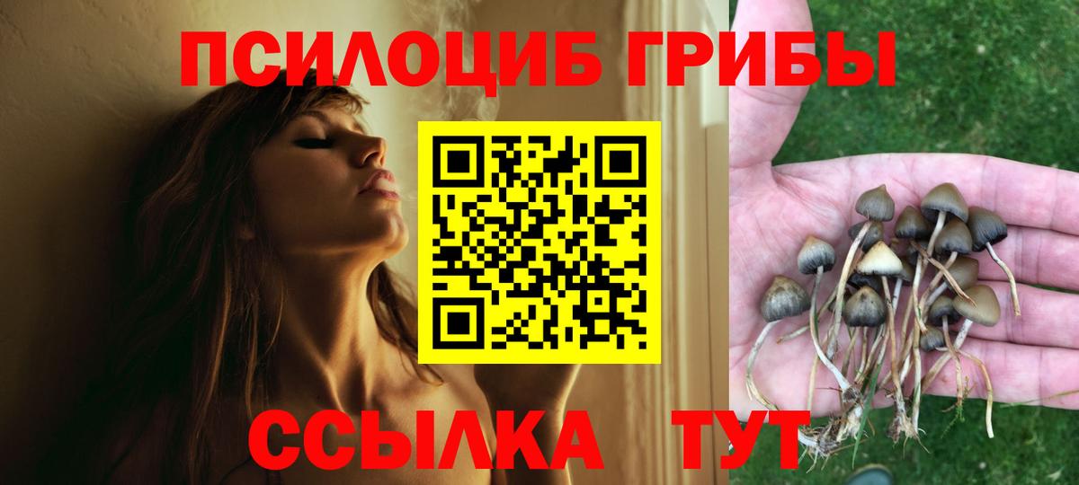 Галлюциногенные грибы прущие грибы Городец